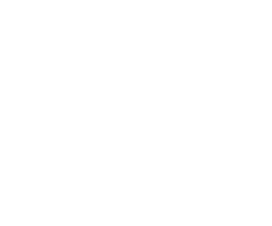 NGS Logo